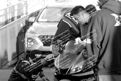 media/Mar-24-2023-Apex Assassins (Fri) [[54485cb5ff]]/Around the Pits/